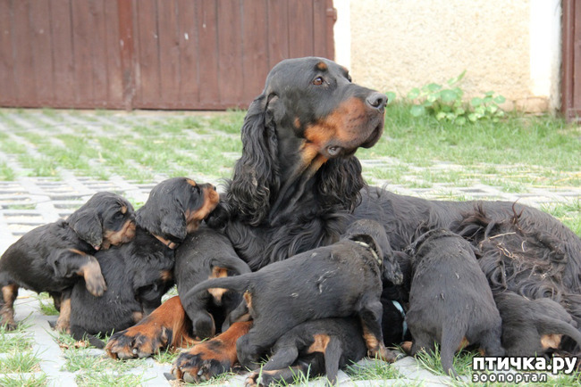 ���� 7: ������-������. ��������� �������