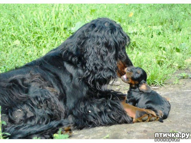 ���� 8: ������-������. ��������� �������