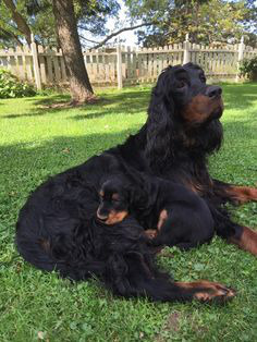 ���� 12: ������-������. ��������� �������