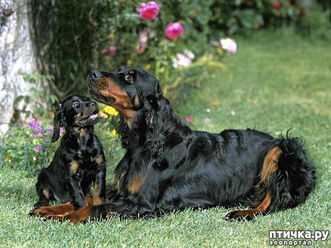 ���� 10: ������-������. ��������� �������