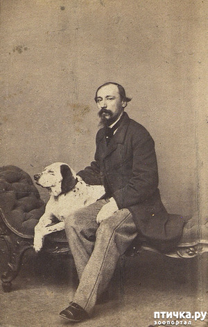 ����: �������� �. �. �� ��������