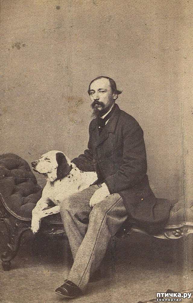 ���� 1: �������� �. �. �� ��������