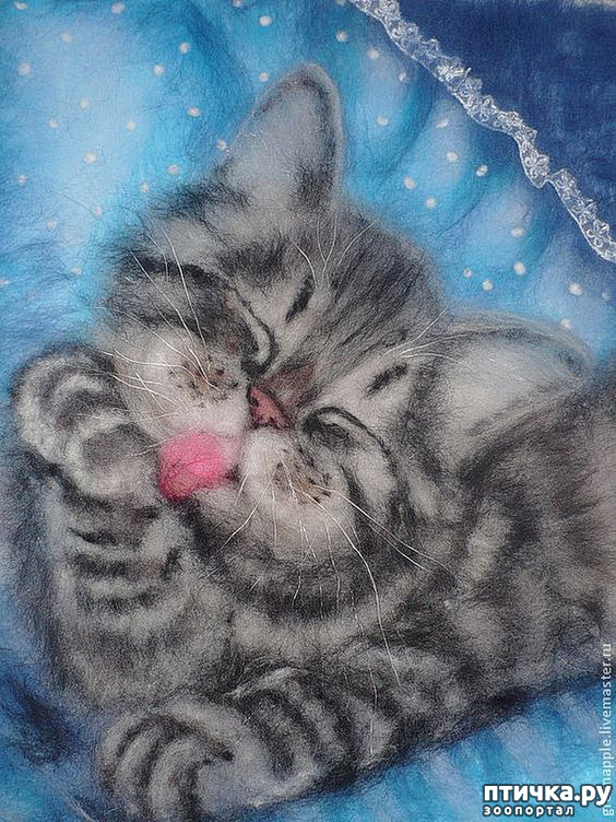 ���� 1: ���� ��� ����