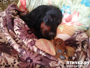 ����: � �� ����� ��������...