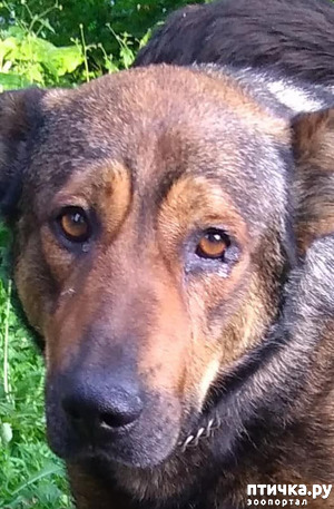 ����: ? ���� ��������? ��� "4 ���� � �����"/ ��������!!!