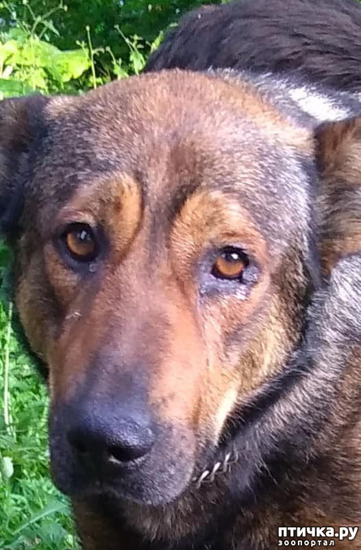 ���� 1: ? ���� ��������? ��� 