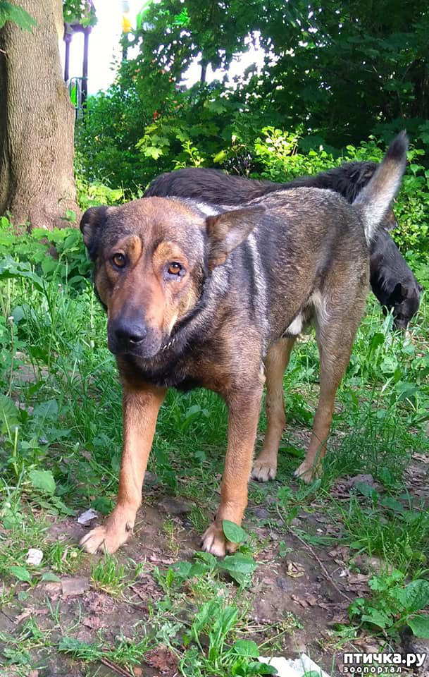 ���� 2: ? ���� ��������? ��� 