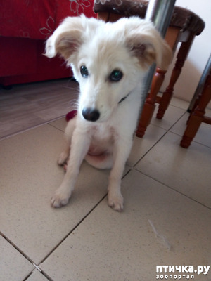 ����: ��� �� ������? ����� �� �����