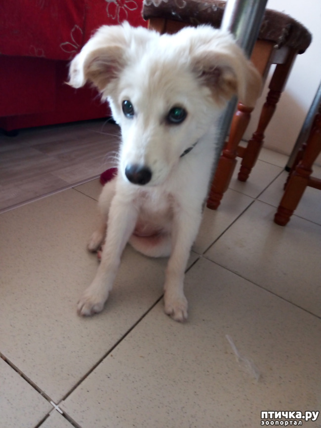 ���� 1: ��� �� ������? ����� �� �����