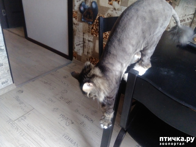 ���� 1: �������.