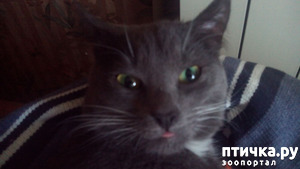 ����: �� ����, ��� ����������