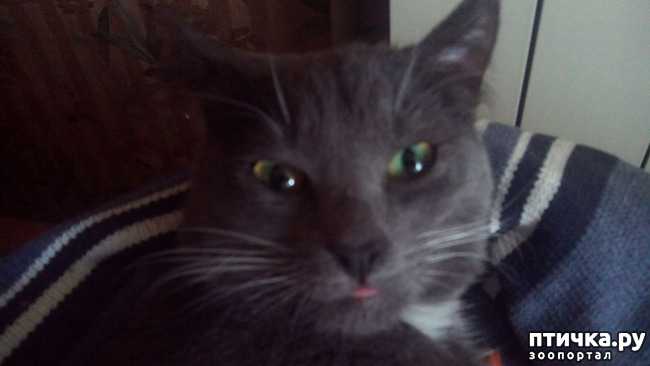 ���� 1: �� ����, ��� ����������