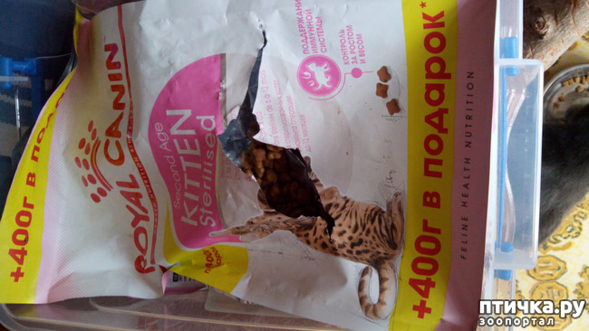 ���� 2: �� ����, ��� ����������