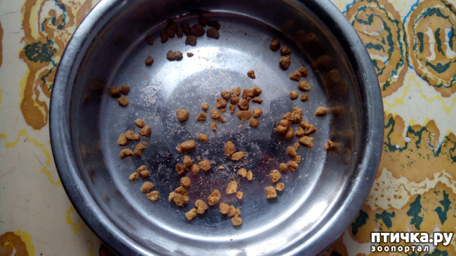 ���� 3: �� ����, ��� ����������