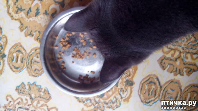 ���� 4: �� ����, ��� ����������