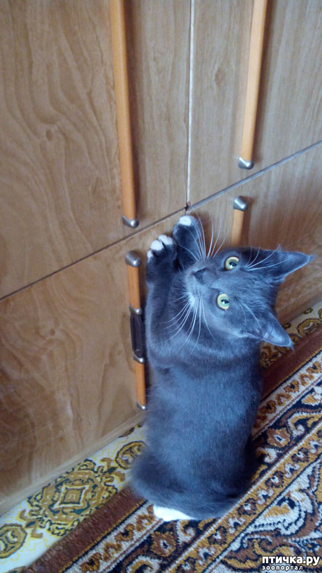 ���� 5: �� ����, ��� ����������