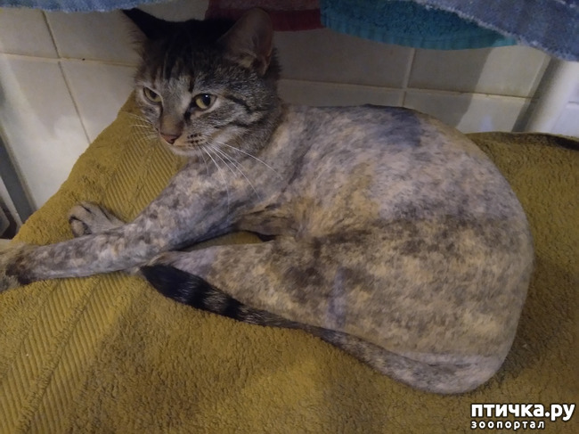 ���� 2: �������.