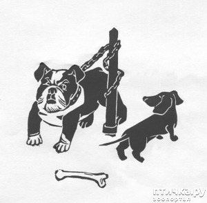 ����: ������ �����. ������� � ������. ����� ��� �����.