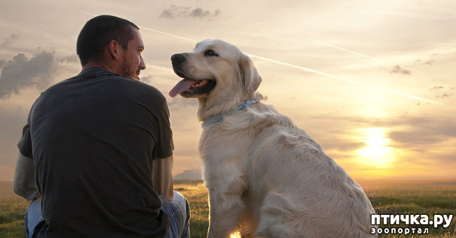 ���� 2: �������� �������� �����.