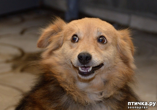 ���� 3: �������� �������� �����.