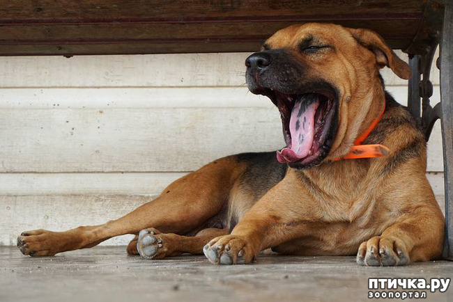 ���� 4: �������� �������� �����.