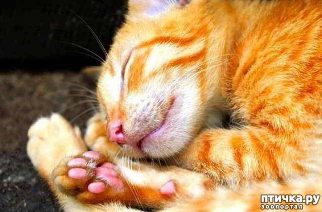 ���� 2: ������� �� ����: �����������-��������