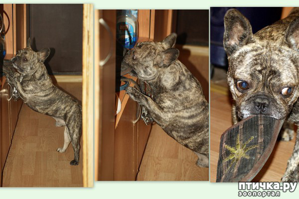 ���� 6: �������� �������� �����.