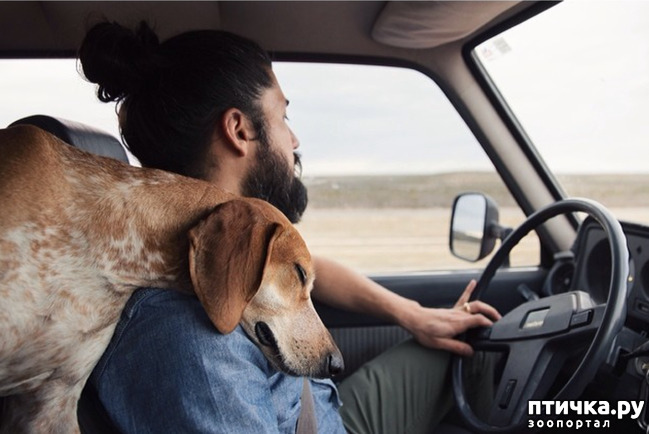 ���� 7: �������� �������� �����.