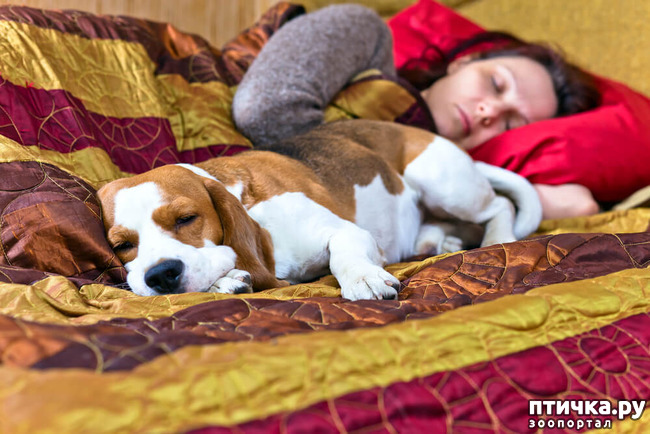 ���� 8: �������� �������� �����.