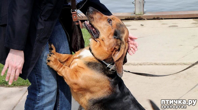 ���� 9: �������� �������� �����.