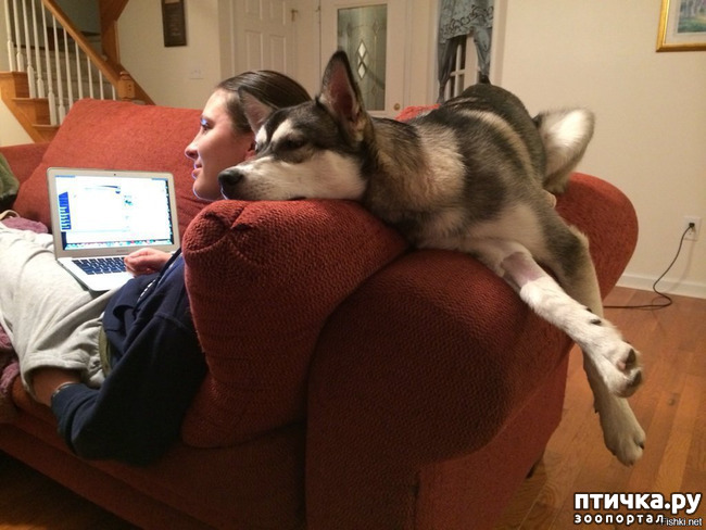 ���� 10: �������� �������� �����.