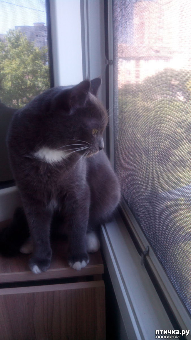 ���� 1: ������ � �� � ����������