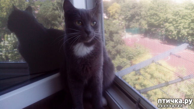 ���� 2: ������ � �� � ����������