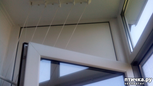 ���� 3: ������ � �� � ����������