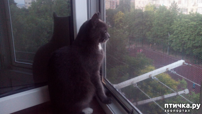 ���� 5: ������ � �� � ����������