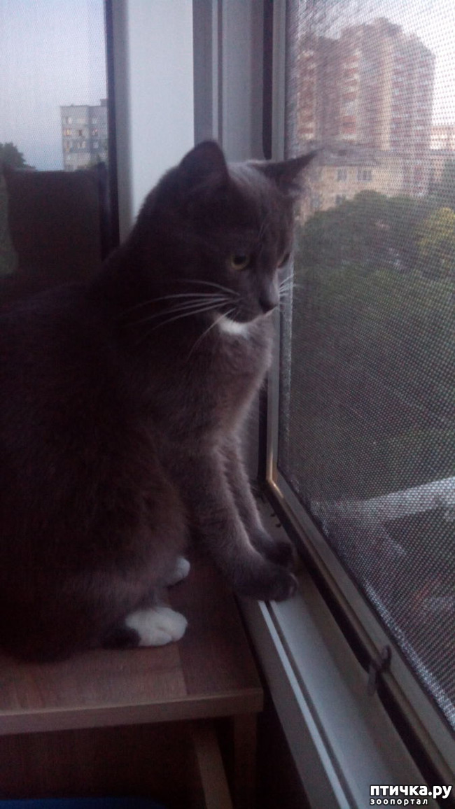 ���� 6: ������ � �� � ����������