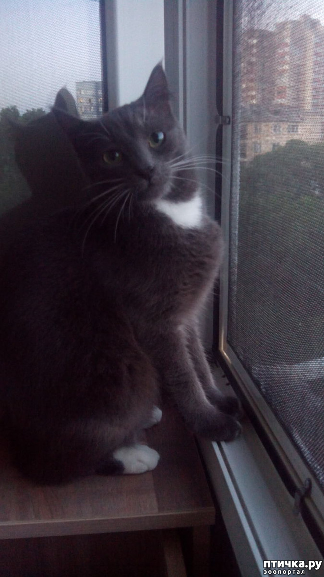 ���� 7: ������ � �� � ����������