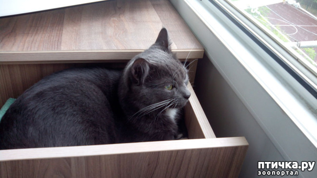 ���� 4: ������ � �� � ����������