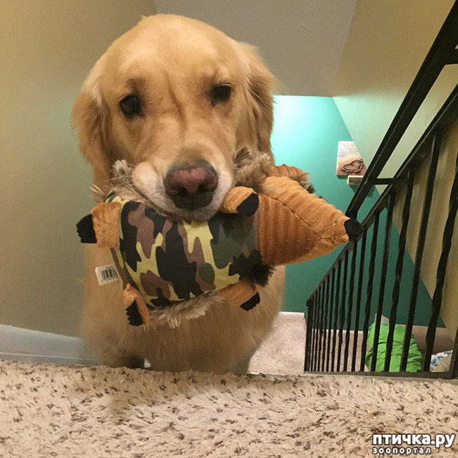 ���� 1: �������� �������� �����.