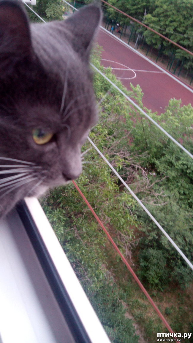 ���� 1: ������� ������� �������