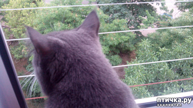 ���� 2: ������� ������� �������