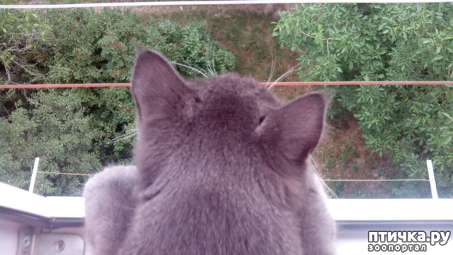 ���� 3: ������� ������� �������