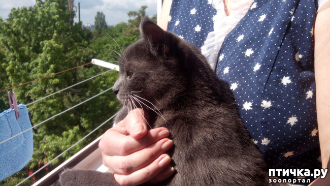 ���� 4: ������� ������� �������