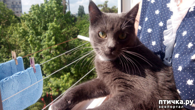 ���� 5: ������� ������� �������