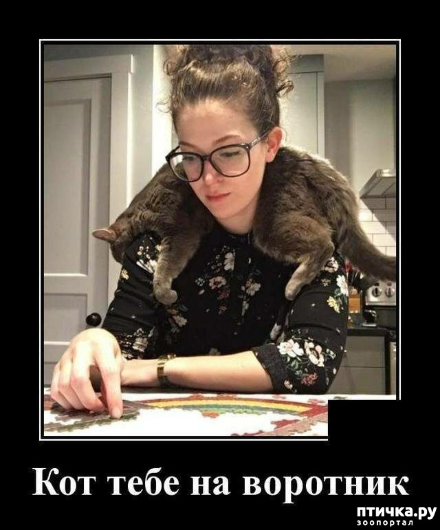 ���� 1: �������� ����)