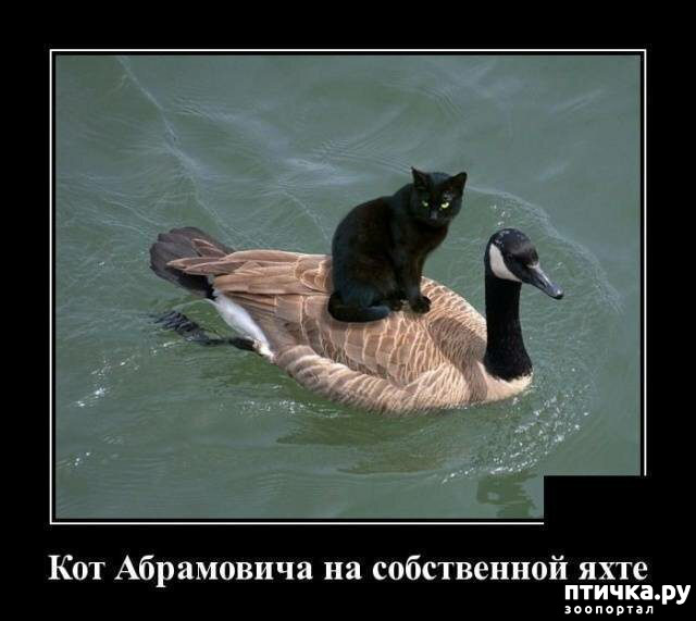 ���� 2: �������� ����)