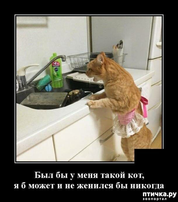 ���� 3: �������� ����)