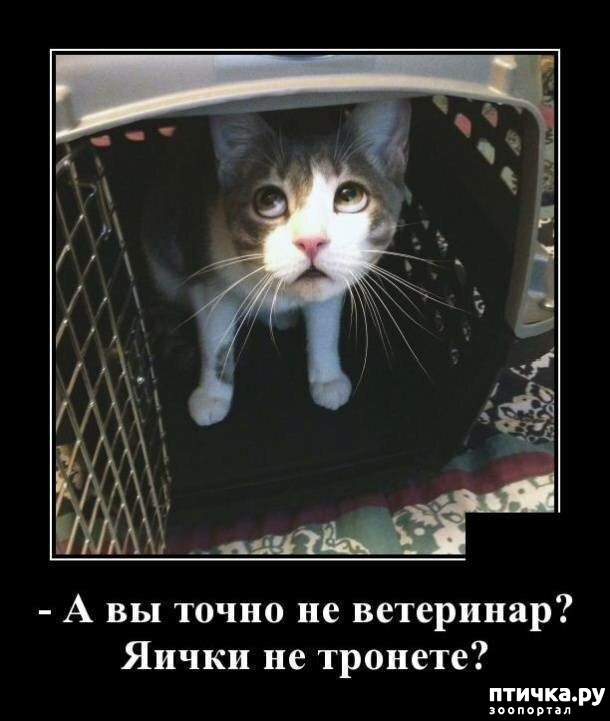 ���� 4: �������� ����)