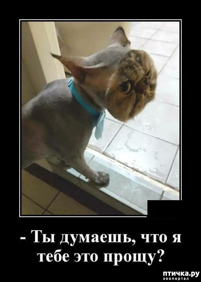 ���� 5: �������� ����)