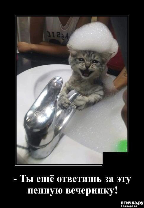 ���� 6: �������� ����)